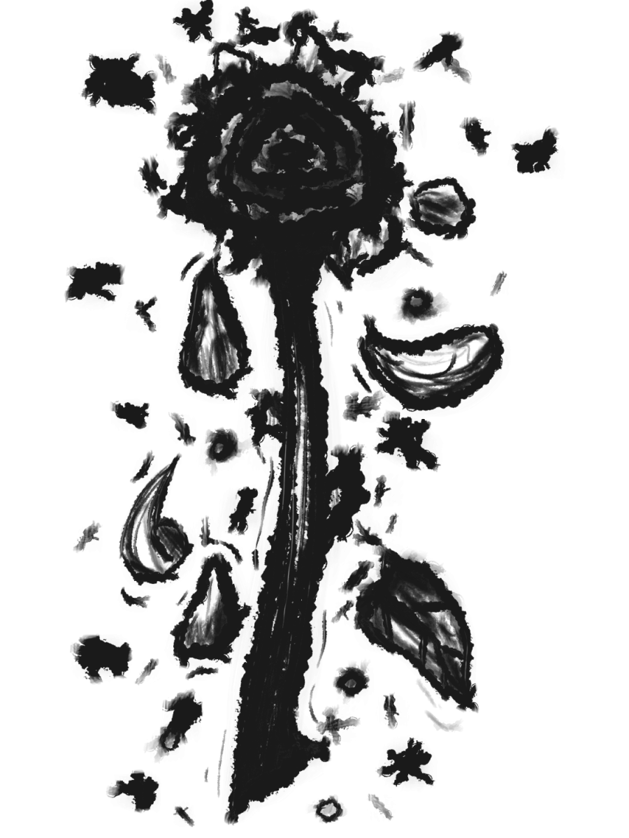 Tradition of the&nbsp;Belles